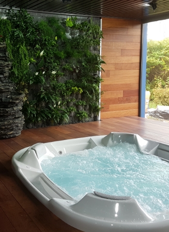 Image SPA